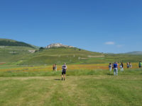 Piana di Castelluccio