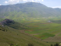 Piana di Castelluccio