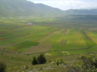 Piana di Castelluccio