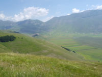 Piana di Castelluccio