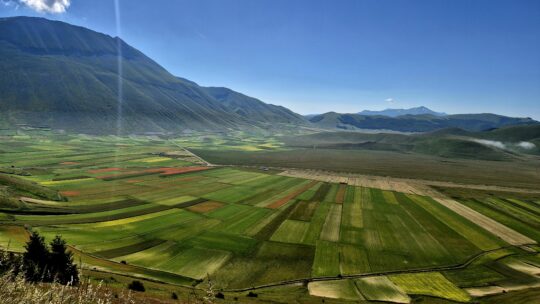 🚵‍♂️ Mountain Bike alla Piana di Castelluccio di Norcia: 40 km tra panorami mozzafiato e sapori autentici