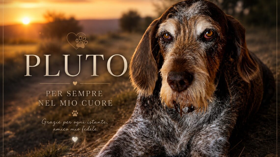 Ciao Pluto, il cane che ha scelto me: il racconto del mio migliore amico a quattro zampe
